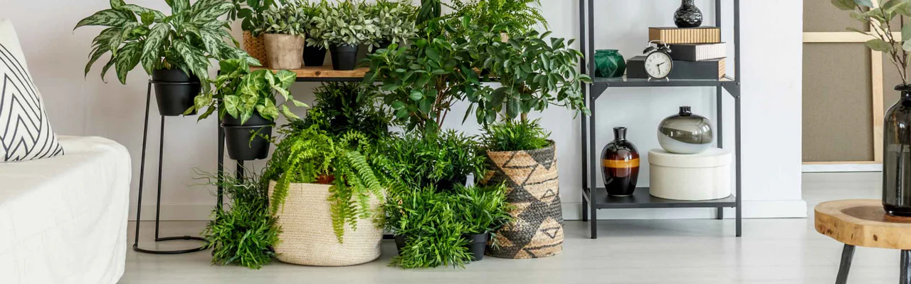 Pots and Planters